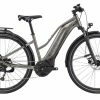 Vélo De Ville Electrique Liv Amiti E+ 3 Gris - 2022 -Promos Vélo Électrique Boutique velo de ville electrique liv amiti e 3 gris 2022